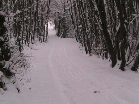 NEIGE-MONTBERNIER 019