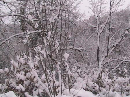 NEIGE-MONTBERNIER 032