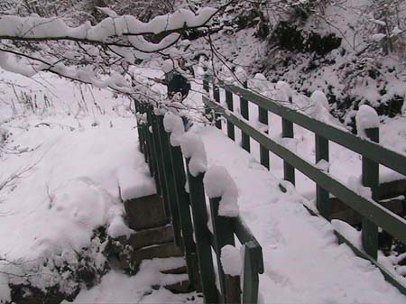 NEIGE-MONTBERNIER 037