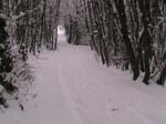 NEIGE-MONTBERNIER 019