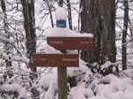 NEIGE-MONTBERNIER 025