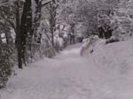 NEIGE-MONTBERNIER 027