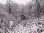 NEIGE-MONTBERNIER 028