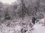 NEIGE-MONTBERNIER 029