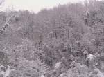 NEIGE-MONTBERNIER 030