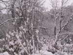 NEIGE-MONTBERNIER 032