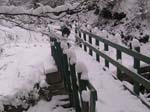 NEIGE-MONTBERNIER 037