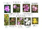 Des infos sur l'environnement du quartier