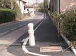 tilleul1